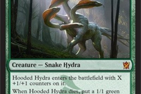 Почему не работает кракен