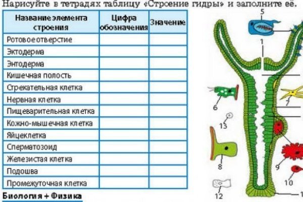 Kraken ссылка krakentor site
