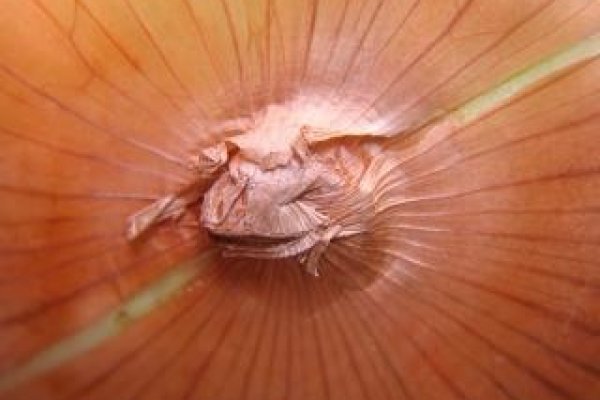 Кракен ссылка onion